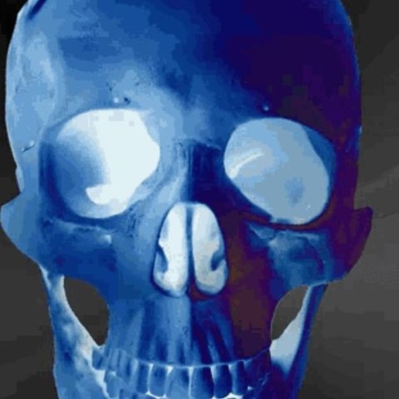 Meet your Posher, Lorrin - Picture 1 of 1